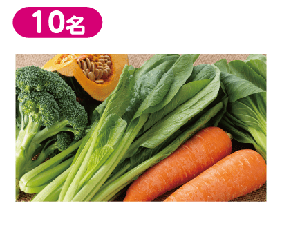 県産野菜の詰め合わせ