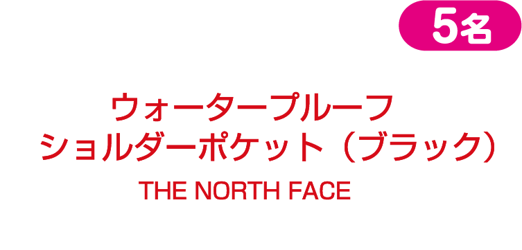 ウォータープルーフショルダーポケット（ブラック）THE NORTH FACE